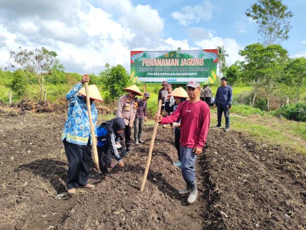 GERAKAN TANAM PERDANA  BUDIDAYA JAGUNG PIPIL