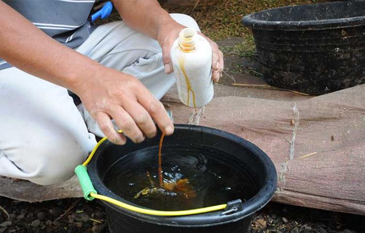 PEMBUATAN PUPUK CAIR DI BPP KECAMATAN TASIK PUTRI PUYU