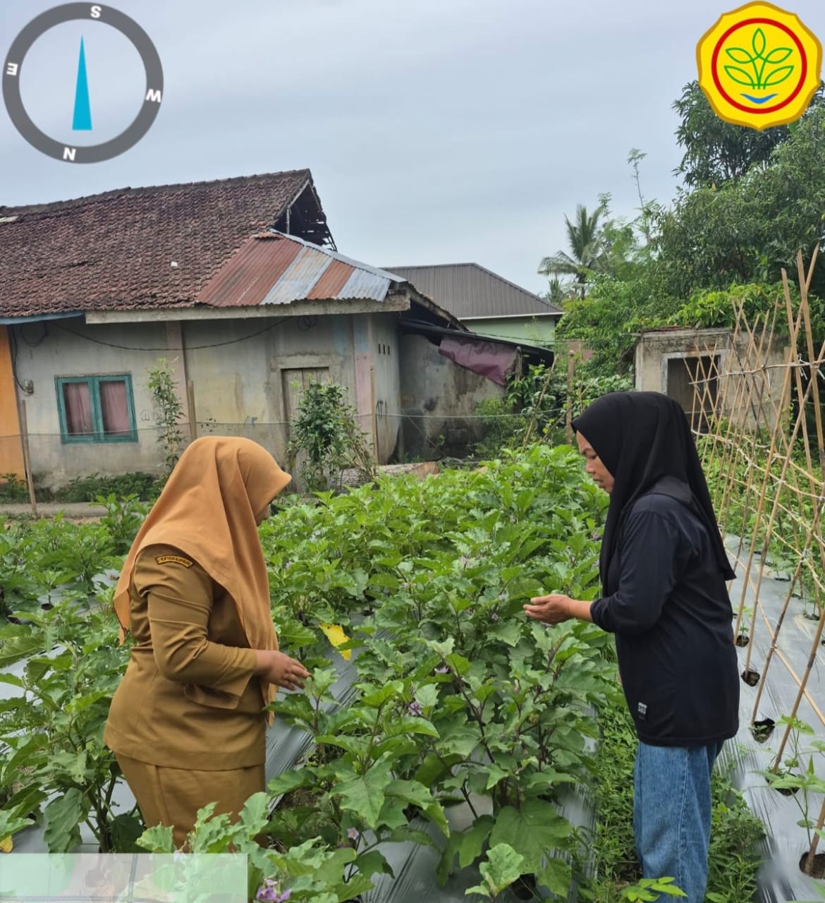 Pendampingan Penyuluh Pada Program Pangan B2SA (Beragam, Bergizi, Seimbang dan Aman)