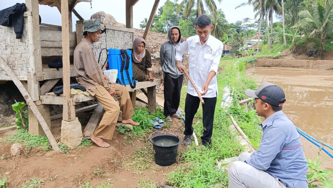Pestisida dan Penggunaanya Pada Tanaman Padi