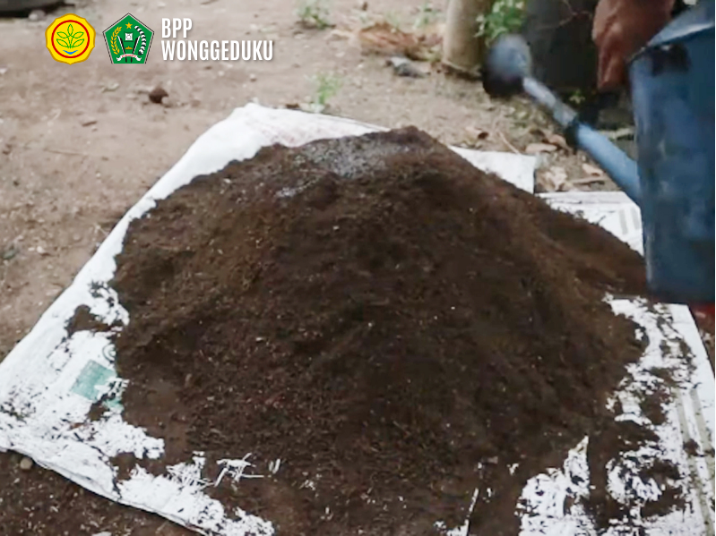 PEMANFAATAN TRICHOKOMPOS PADA TANAMAN SAYURAN