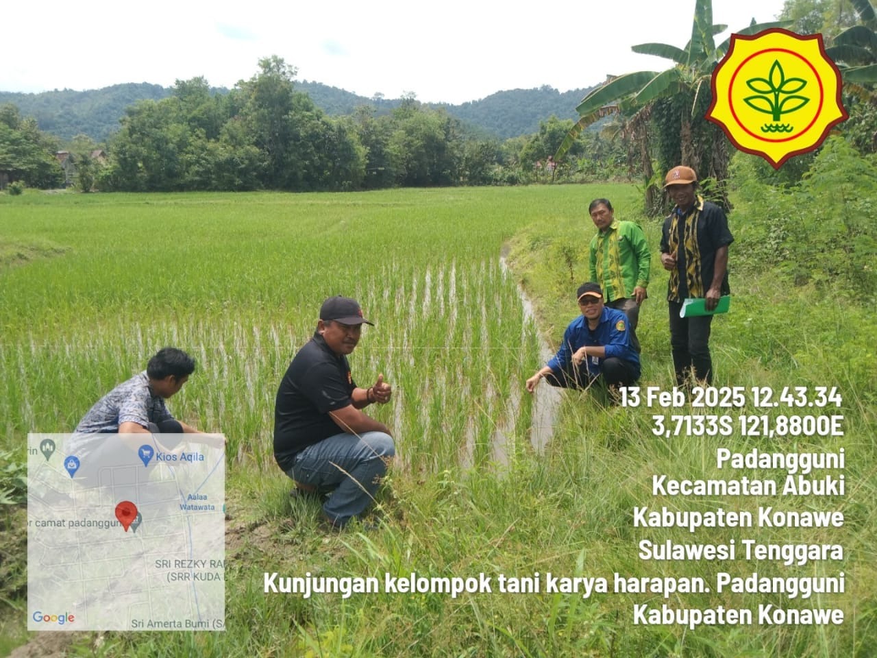 Mengenali Sedini Mungkin Serangan OPT Wereng