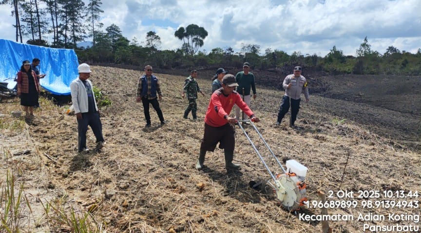 Bye-bye Cara Manual: Cara Modern Tanam Jagung yang Hemat Biaya