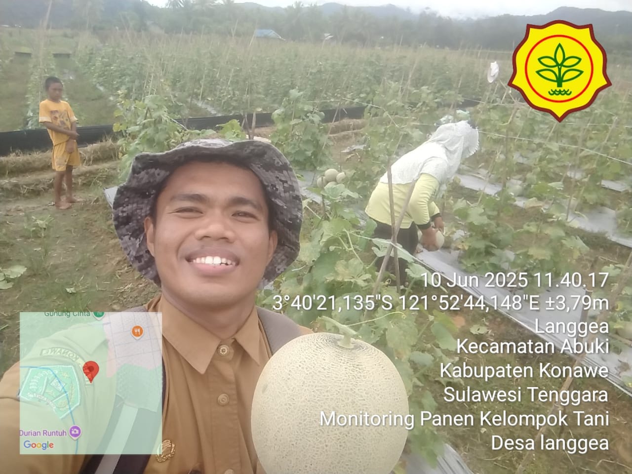 Potensi Melon di Kecamatan Padangguni