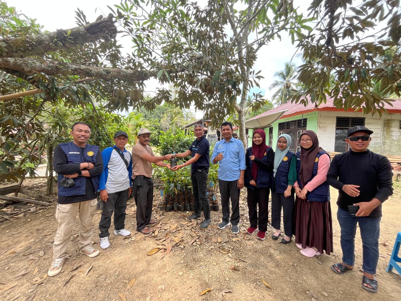 Penyaluran Bibit Durian