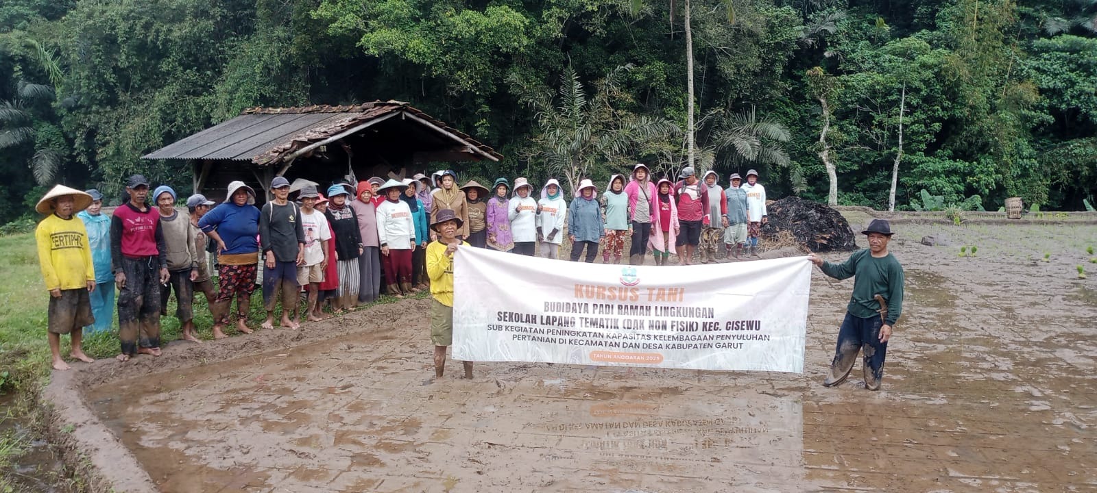 KURSUS TANI CARA TANAM JAJAR LEGOWO