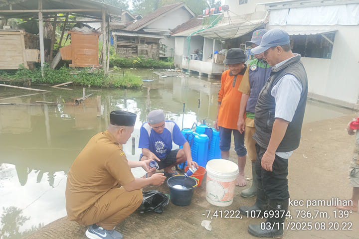 Pengendalian Penyakit Blash