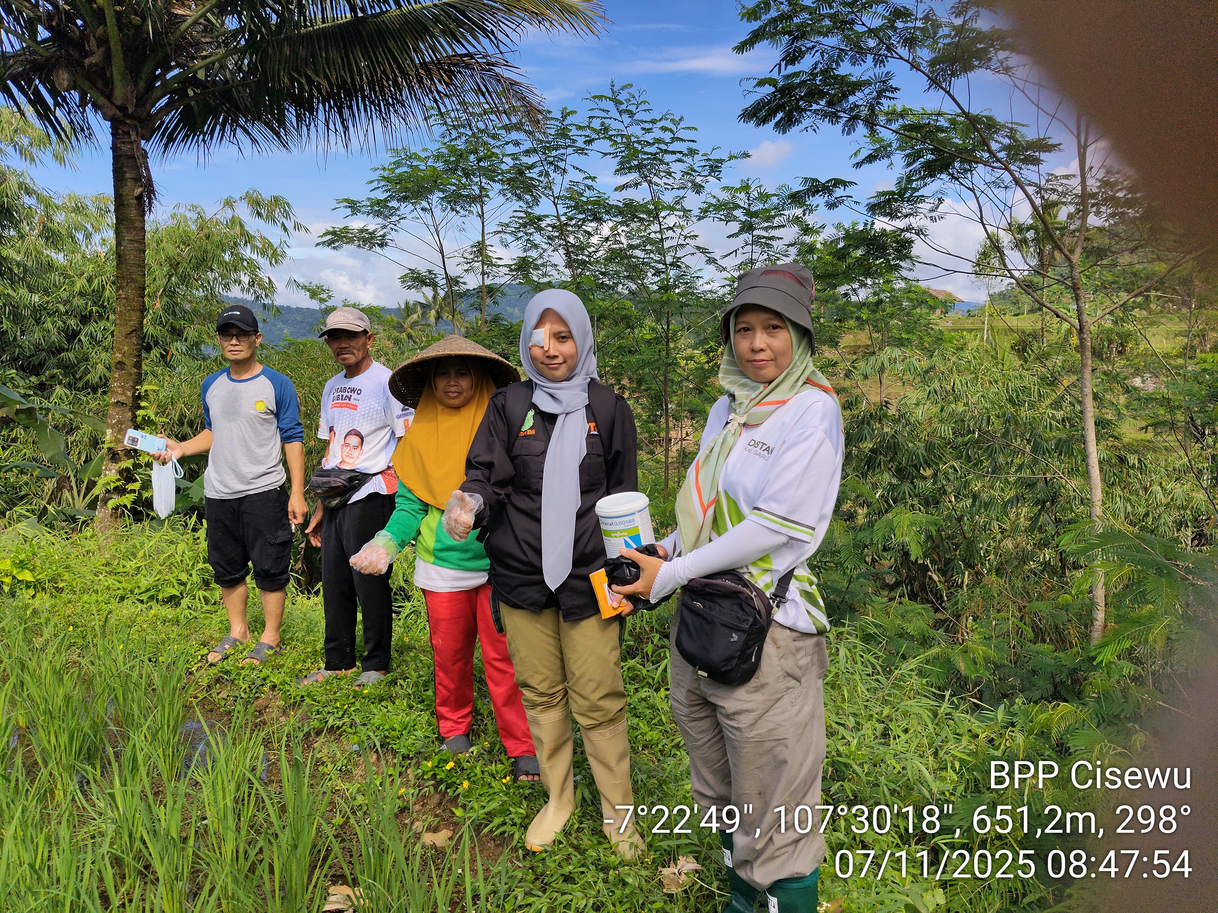 PENGENDALIAN OPT TIKUS