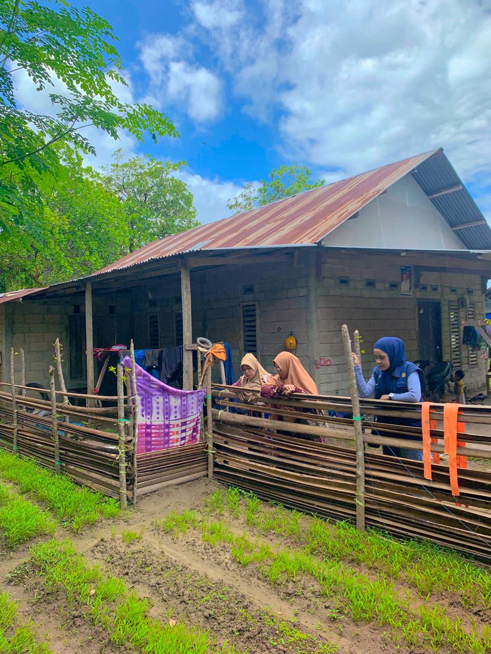 Pemanfaatan Lahan Pekarangan untuk Meningkatkan Ketahanan Pangan Rumah Tangga dengan Menanam Sayur Kangkung