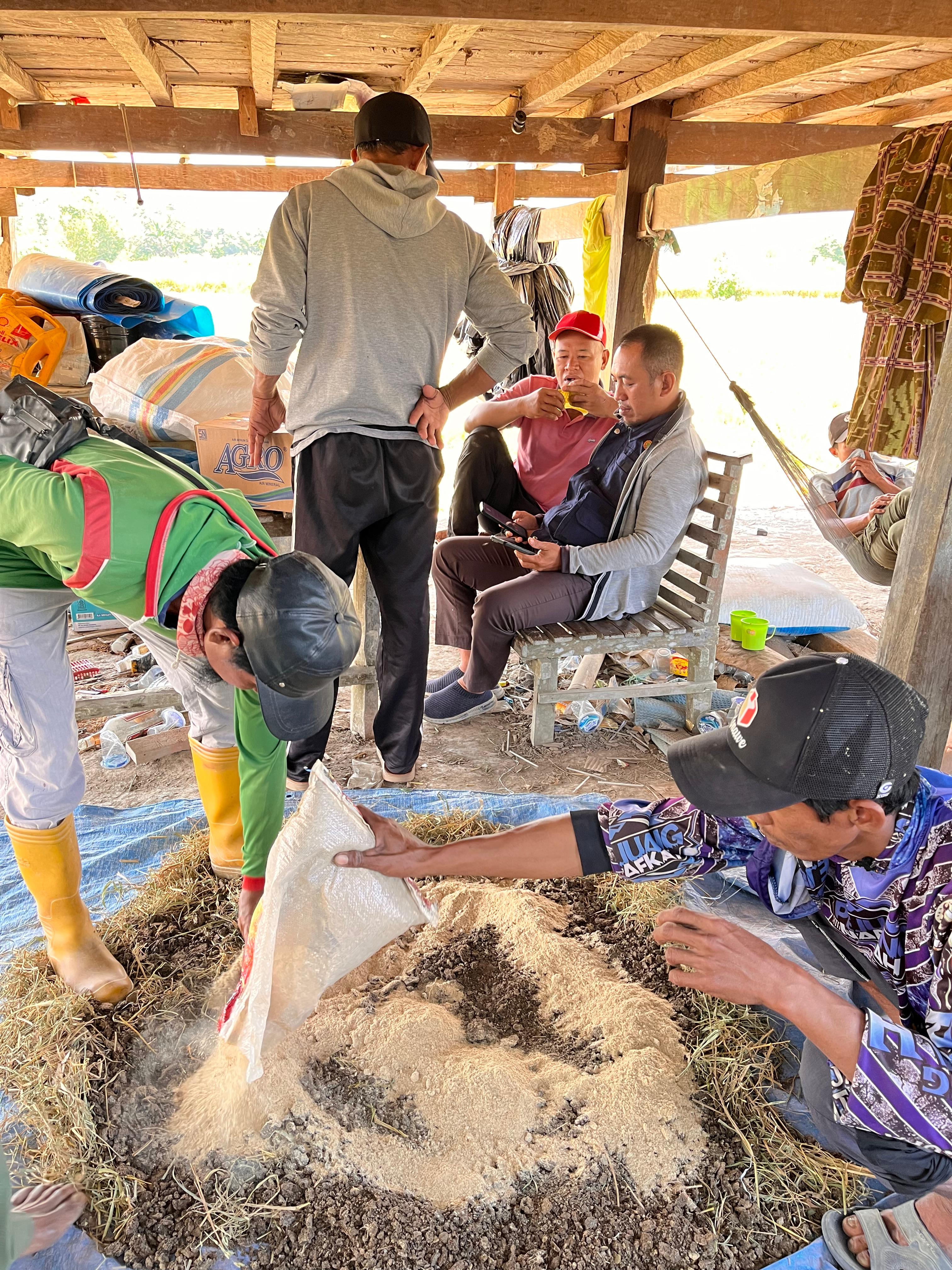 PEMANFAATAN JERAMI PADI SISA PANEN MENJADI PUPUK BOKASHI