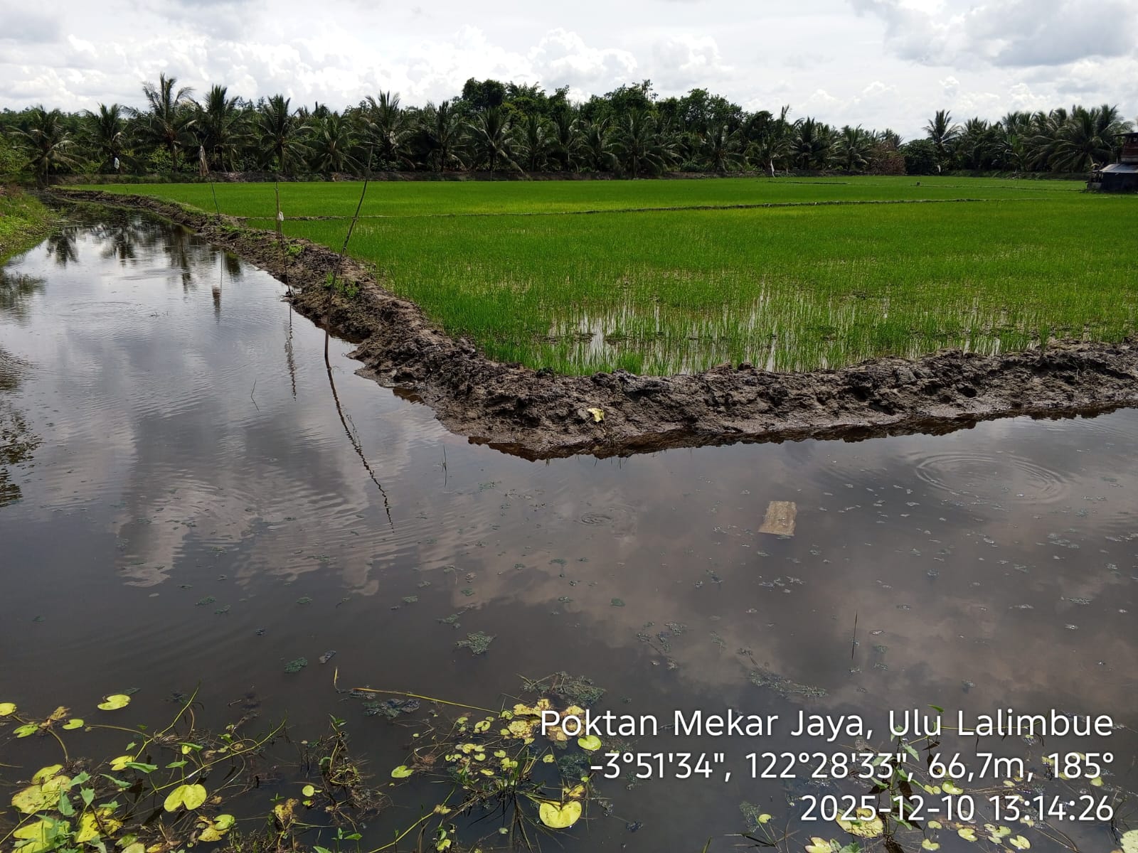 INTEGRASI MINA PADI DALAM PEMULIHAN DAN OPTIMASI LAHAN EMPANG BERSALINITAS UNTUK SISTEM PRODUKSI PADI DI KEC KAPOIALA, KAB. KONAWE
