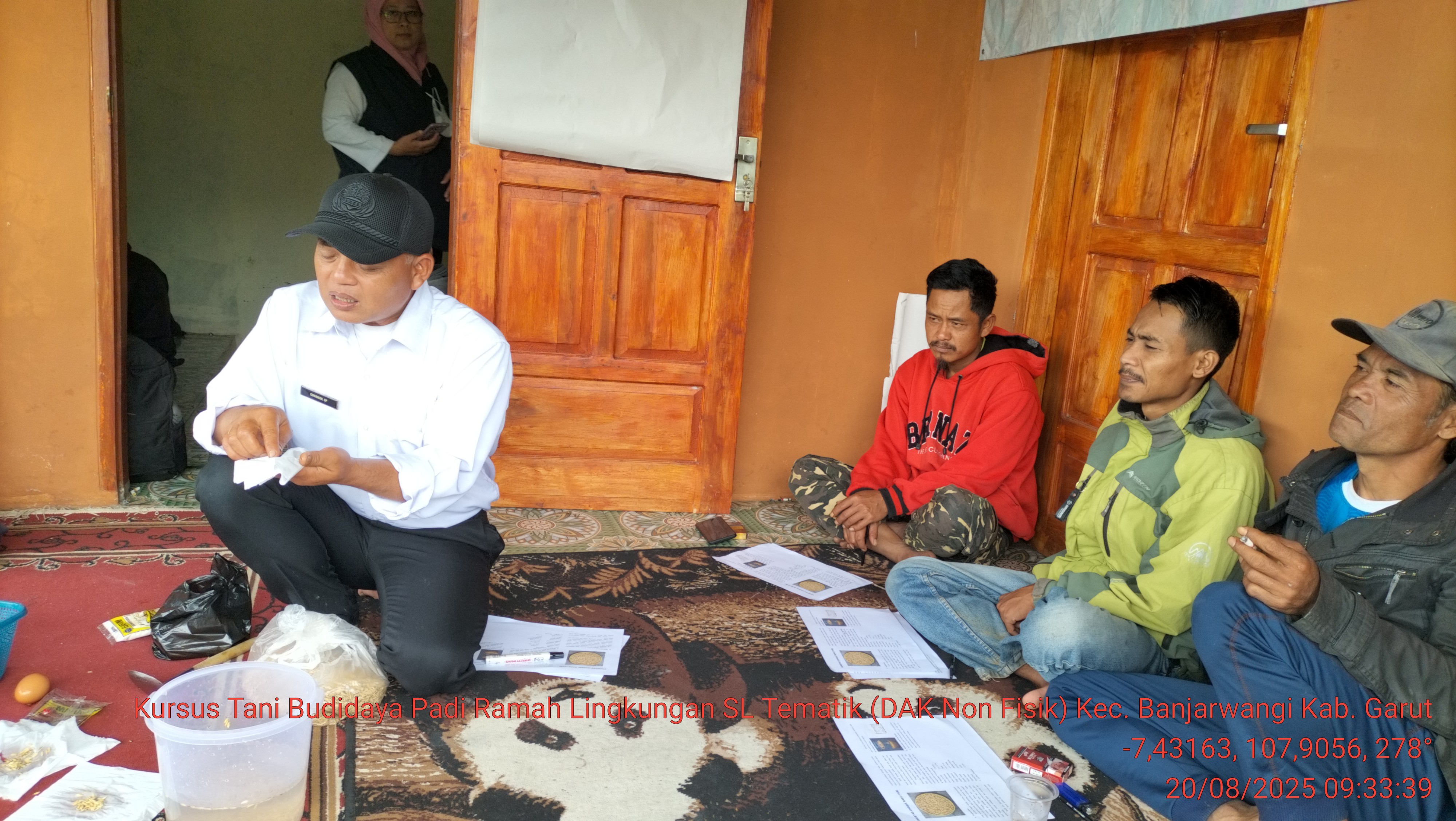 Praktik Seleksi Benih Padi untuk Menjamin Produksi Tinggi dan Sehat