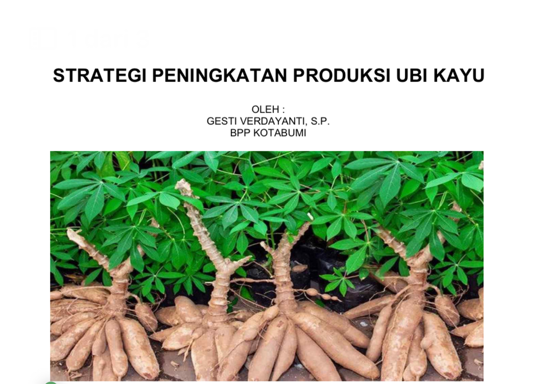 STRATEGI PENINGKATAN PRODUKSI UBI KAYU