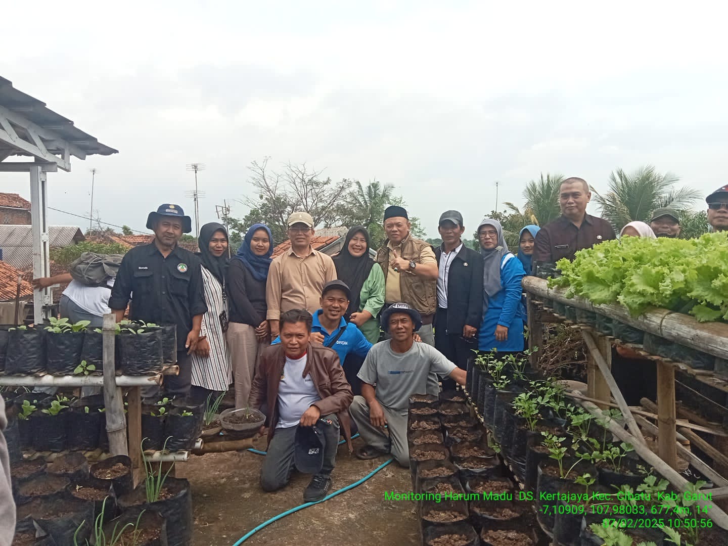 Tongkol Jagung sebagai Media Tanam