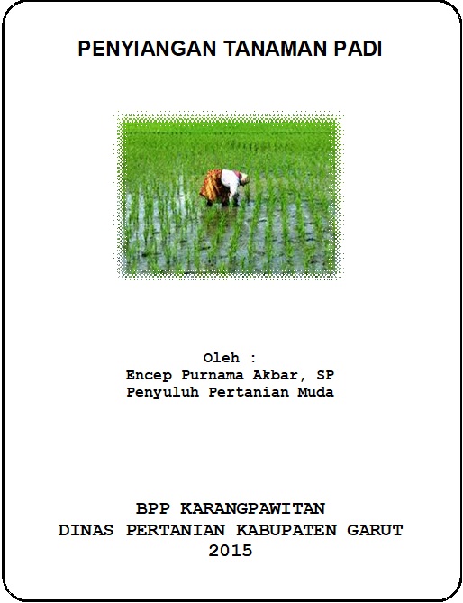 Penyiangan Pada Tanaman Padi Sawah