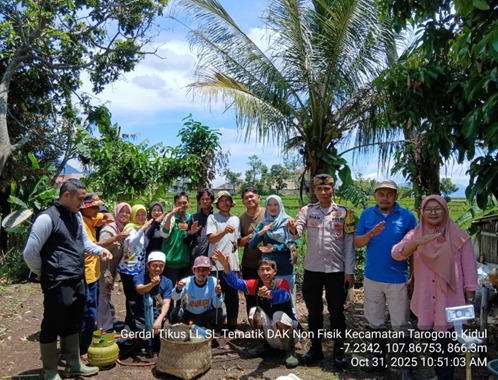 PENGENDALIAN HAMA TIKUS PADA TANAMAN PADI DENGAN EMPOSAN BELERANG