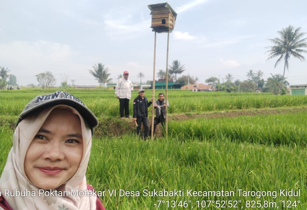 Pengembangan Rumah Burung Hantu Tyto alba (RUBUHA)  di Kecamatan Tarogong Kidul Kabupaten Garut