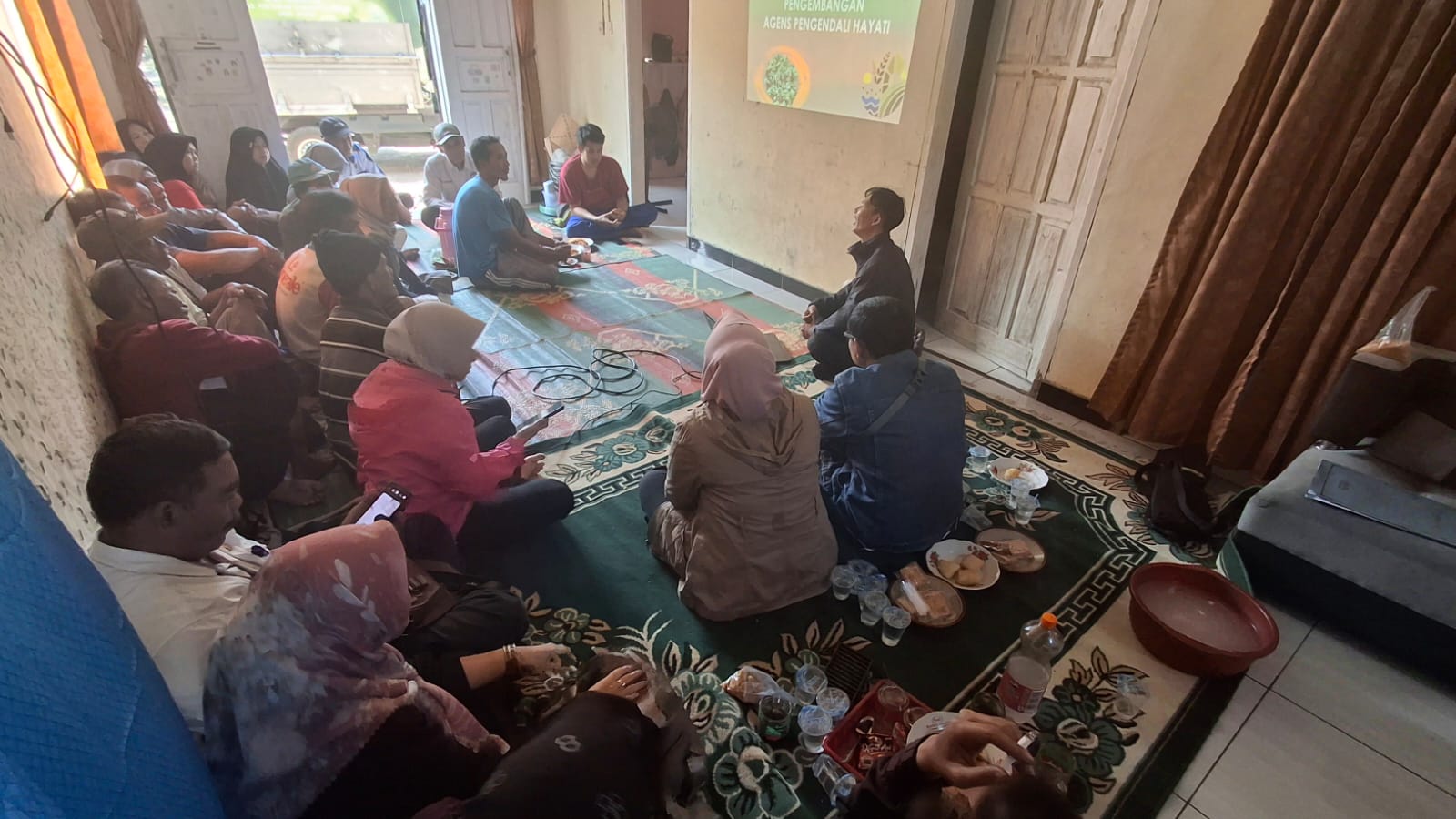 Agens Pengendali Hayati sebagai Pilar Pengendalian Hama dan Penyakit Padi Ramah Lingkungan