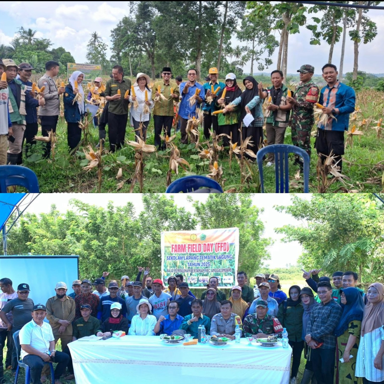 Pelaksanaan Farm Field Day (FFD) Sekolah Lapang Tematik Jagung di Desa Puusangi Tahun 2025
