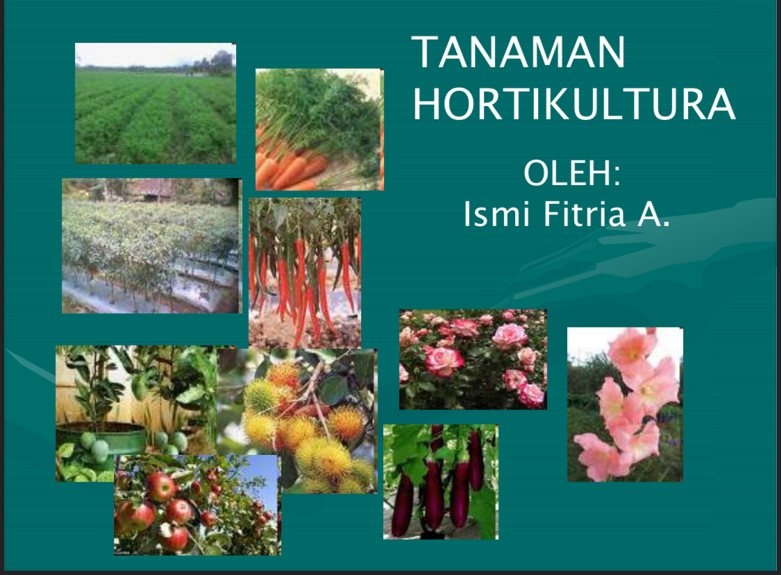 Tanaman hortikultura