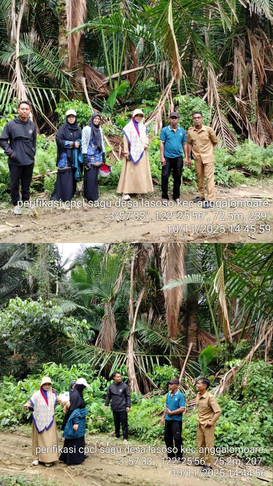verifikasi CPCL sagu di Desa Lasoso, kec. anggalomoare