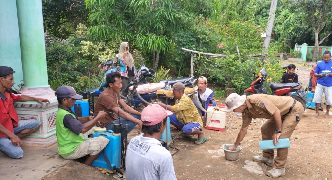 ORGANISME PENGGANGGU TANAMAN