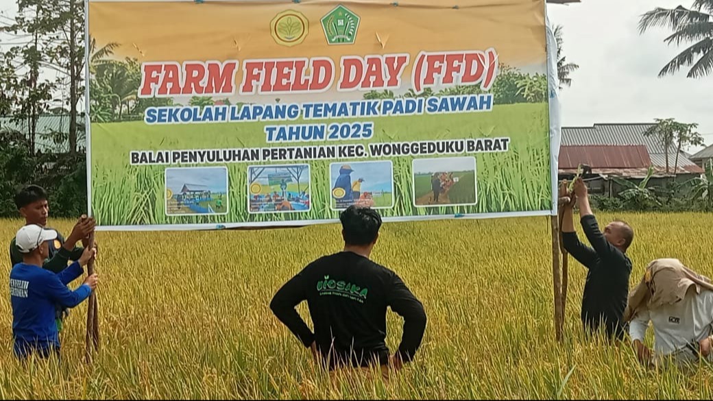 Farm Field Day Sekolah Lapang Tematik Padi Sawah