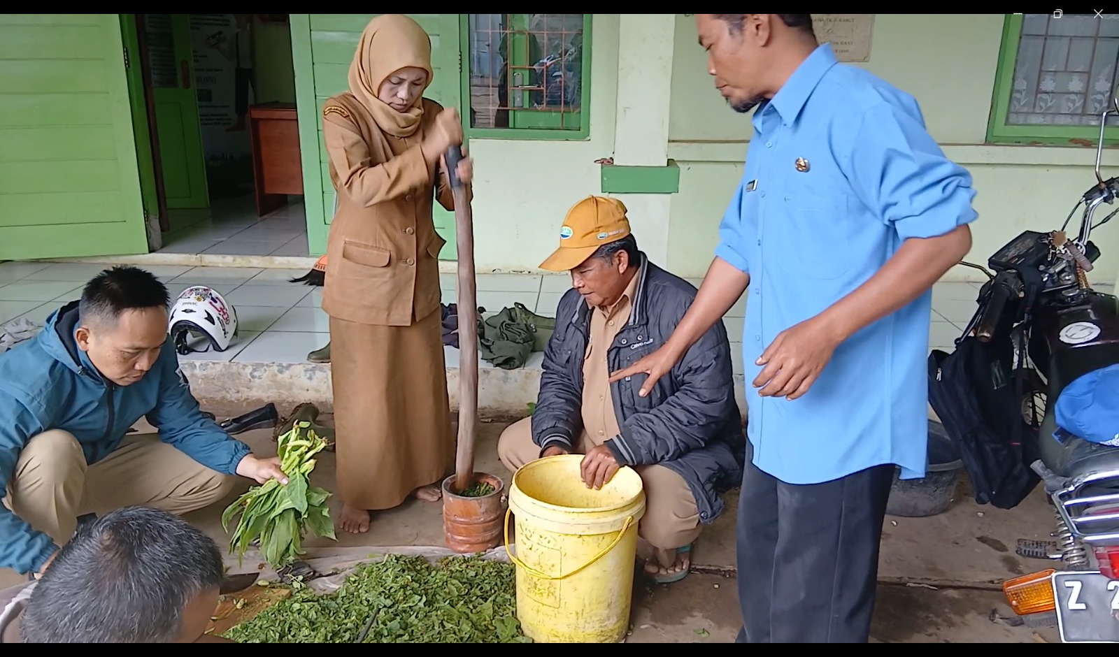 Pemanfaatan Limbah Tembakau untuk Pestisida Nabati