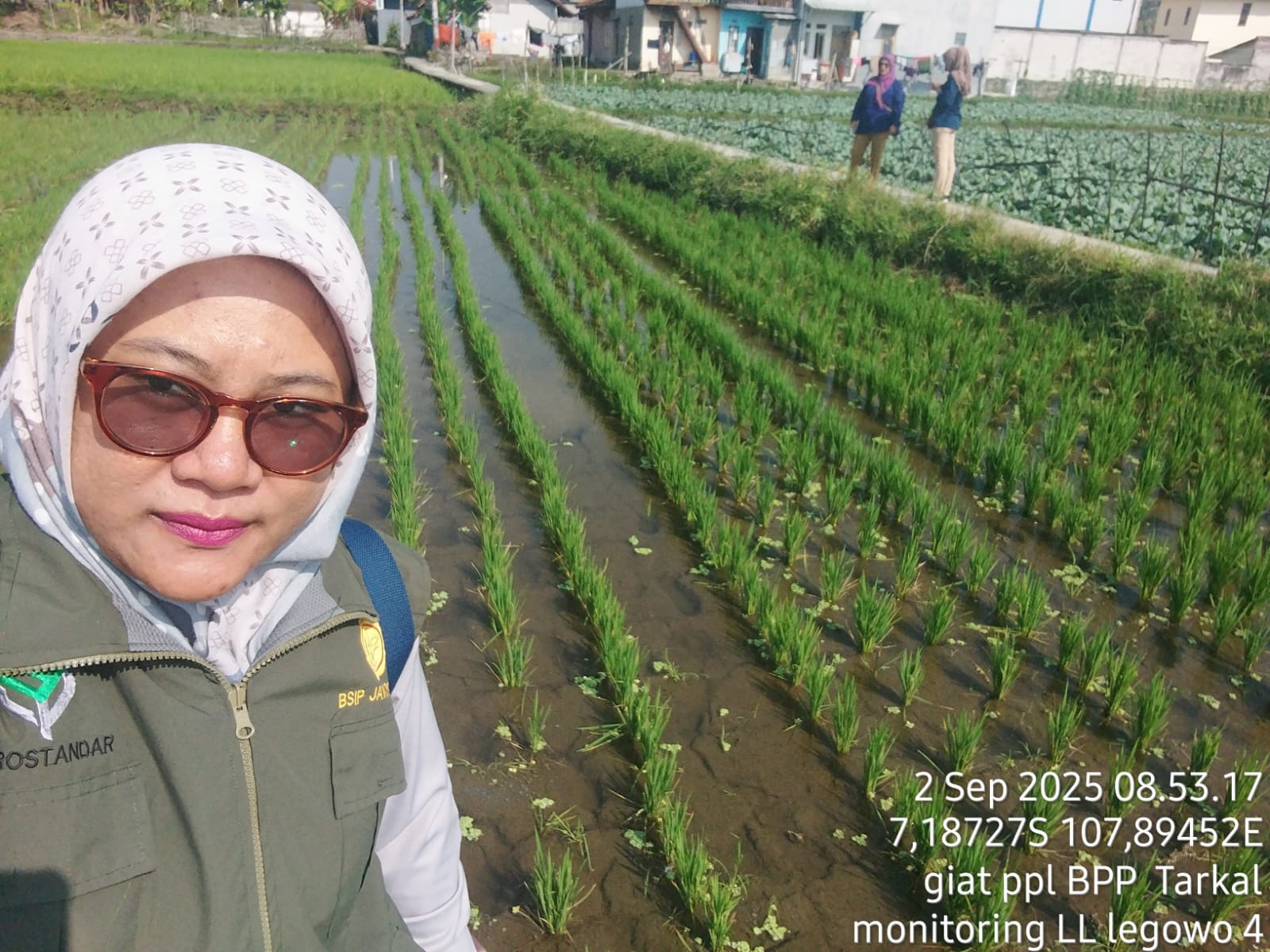 Budidaya  padi dengan sistem jajar legowo di Kecamatan Tarogong Kaler Kab. Garut