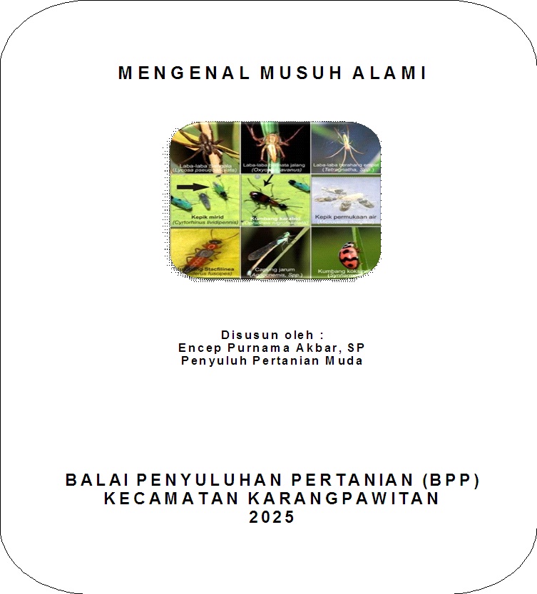 Mengenal Musuh Alami Tanaman Padi Sawah