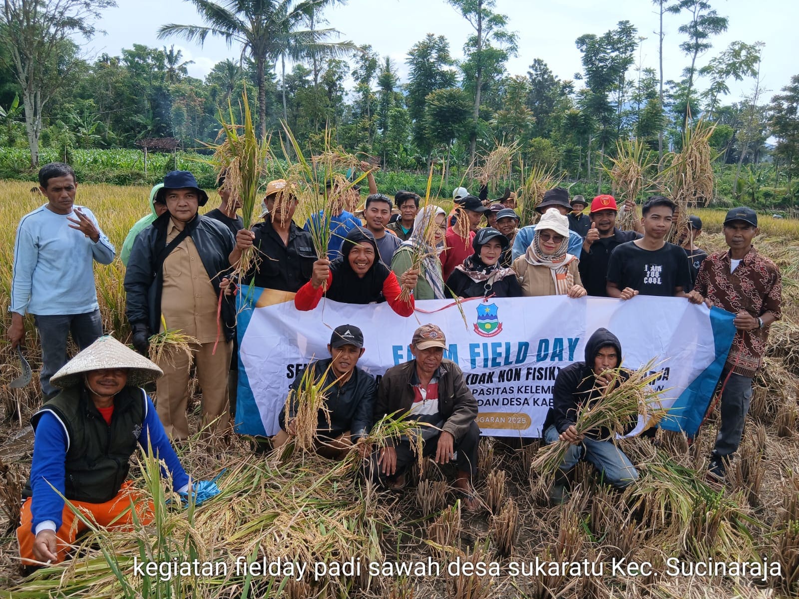 SL TEMATIK PANEN DAN PASCAPANEN PADI 