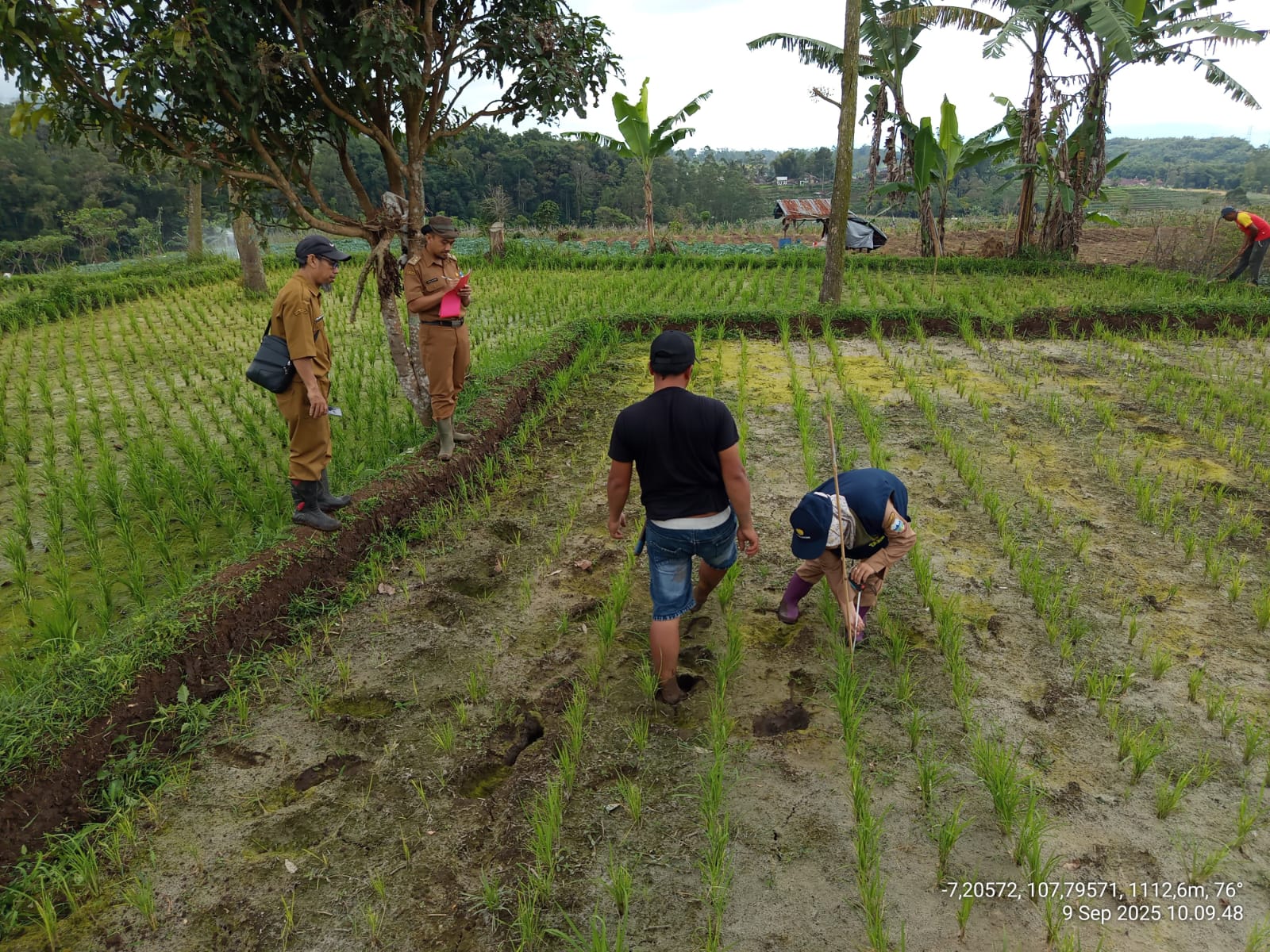 Manfaat Pertanian Ramah Lingkungan