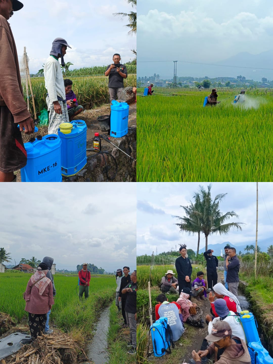 Penggunaan Pestisida Nabati (PESNAB) Untuk Pengendalian Hama Dan Penyakit Pada Tanaman