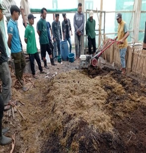 PEMBUATAN  PUPUK ORGANIK  DARI KOTORAN SAPI DAN KAMBING