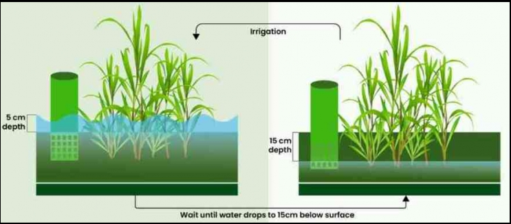 Inovasi Teknologi Penghematan Air Sistem Basah Kering/Berselang (PBK)