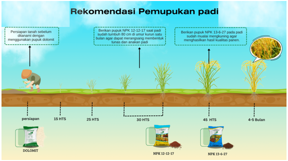 Teknologi Pemupukan Padi 