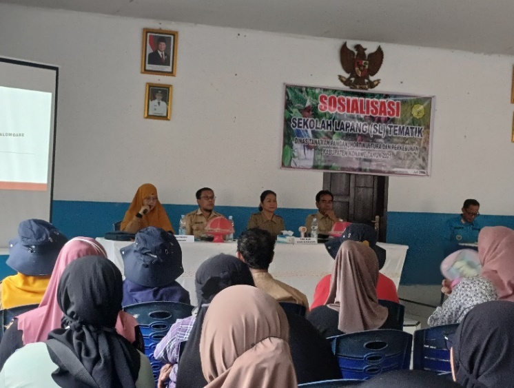 SOSIALISASI SEKOLAH LAPANG SEBAGAI TAHAP AWAL PELAKSANAAN KURSUS TANI JAGUNG DI WILAYAH BPP ANGGALOMOARE