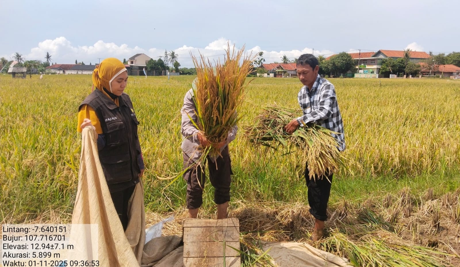 Analisa Usaha Tani Budidaya Padi Ramah Lingkungan