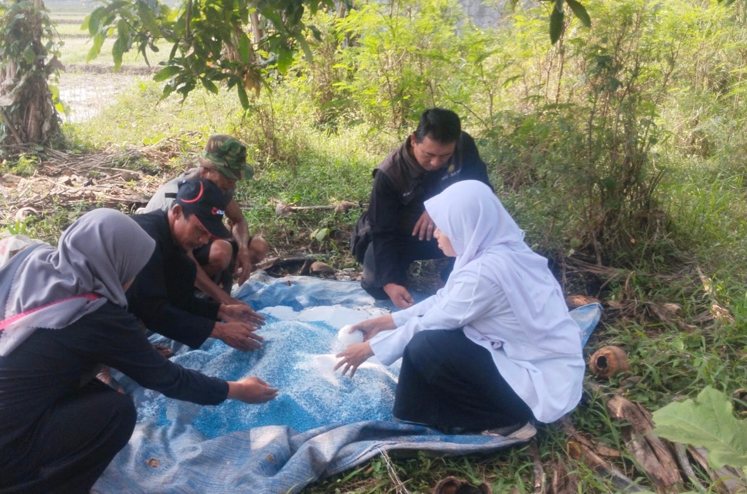 Pemupukkan Berimbang