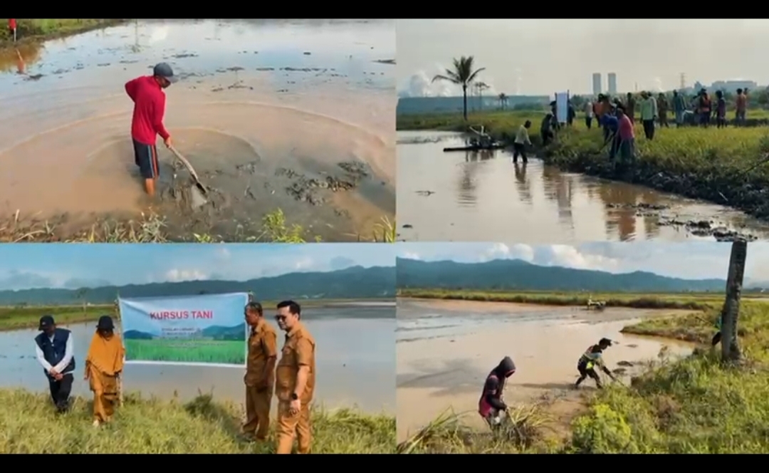 PENGOLAHAN LAHAN SAWAH