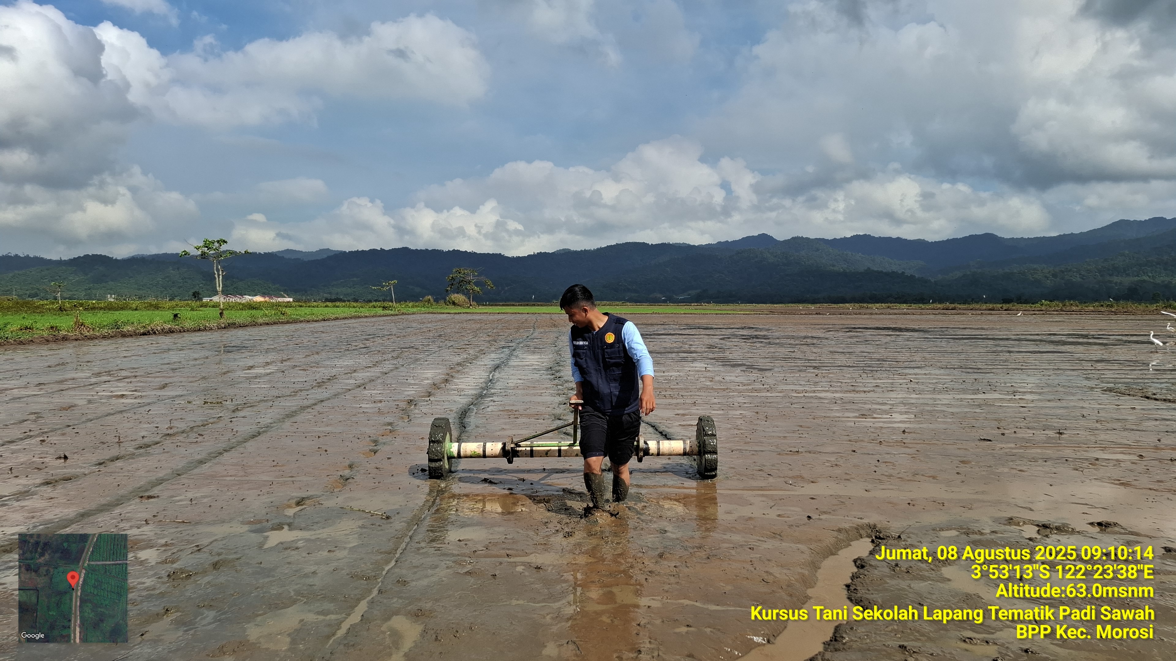 SISTEM TANAM JAJAR LEGOWO DENGAN MENGGUNAKAN ALAT TABELA