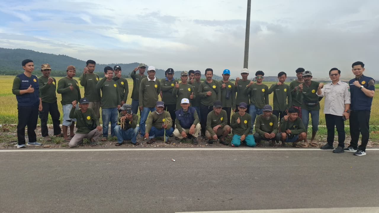 Pengendalian Hama Fase Generatif Pada Tanaman Padi Sawah