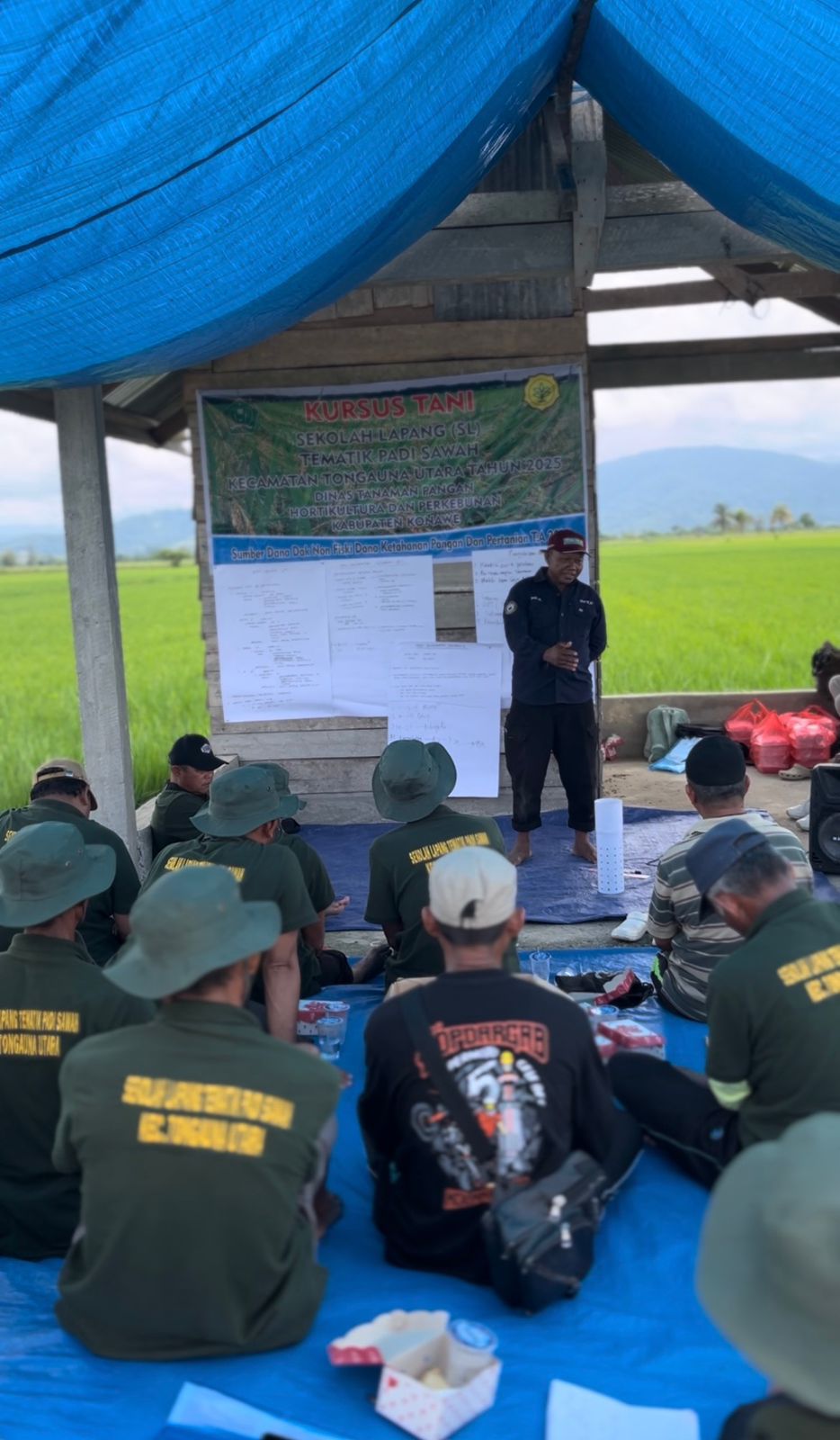 Alternate Wetting and Drying