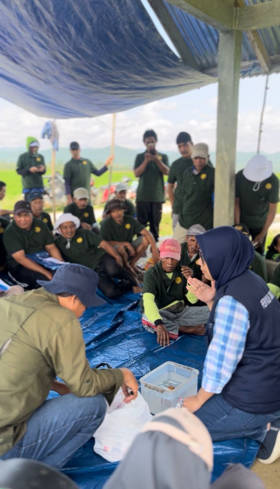 Seleksi Benih Padi Sawah