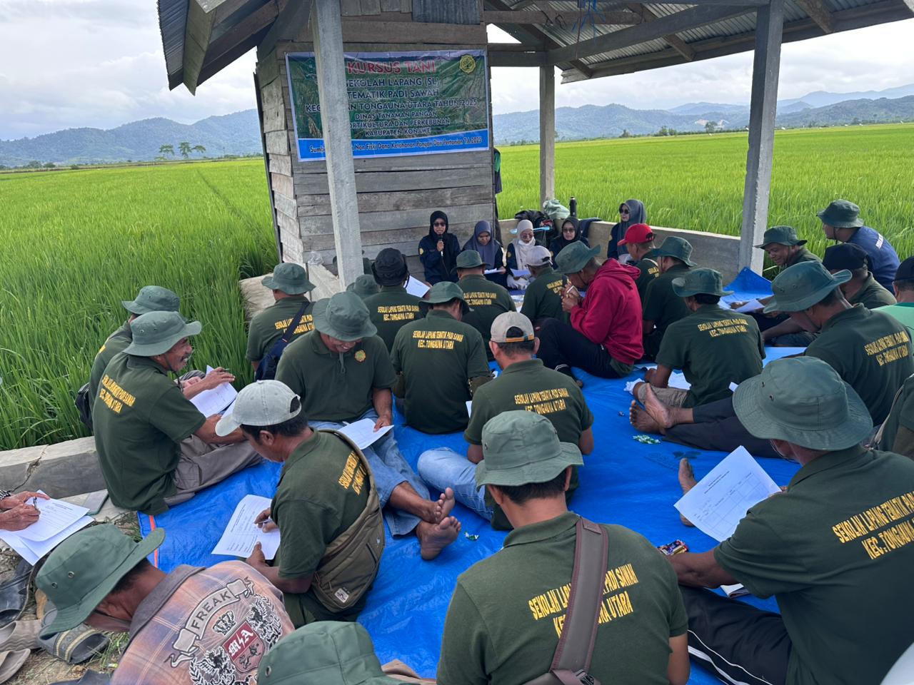 Pengendalian Hama Tikus