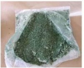 Membuat jamur Trichoderma Sp.  untuk pengendalian jamur dengan jamur