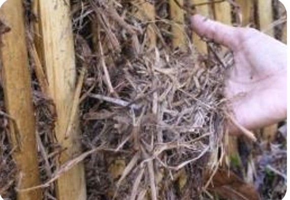 CARA MENGEMBALIKAN BAHAN ORGANIK LAHAN SAWAH