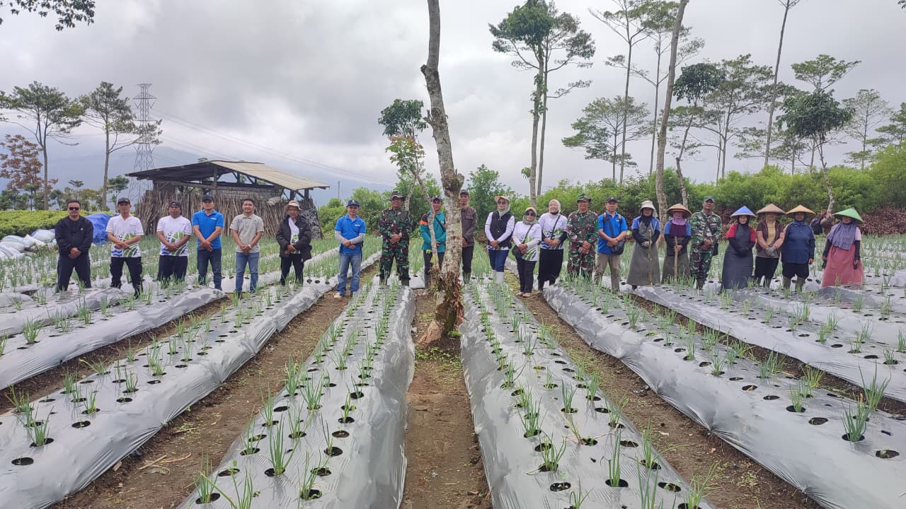 NUTRISI MIKRO: KUNCI TERSEMBUNYI KESEHATAN DAN PRODUKTIVITAS TANAMAN