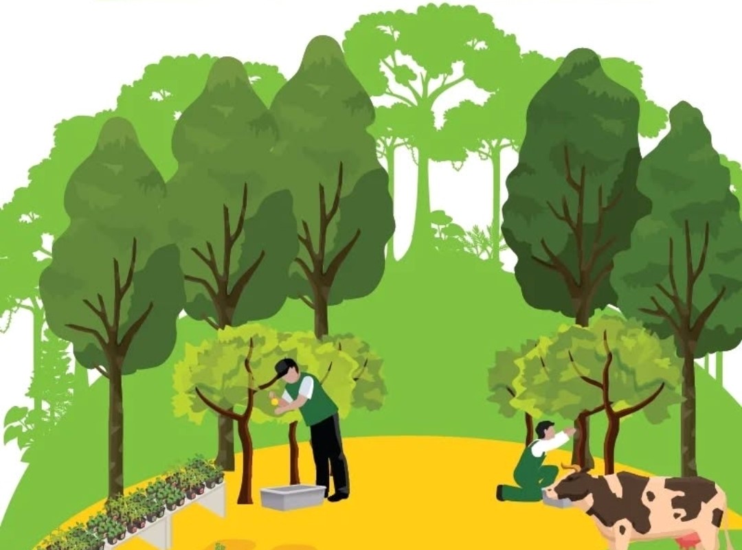 AGROSILVOPASTURI MENGGABUNGKAN PERTANIAN, KEHUTANAN, DAN PETERNAKAN UNTUK MASA DEPAN YANG LEBIH BAIK