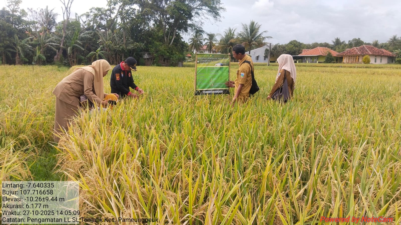 Budidaya Padi Ramah Lingkungan (BPRL)